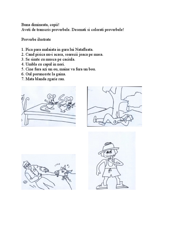 Proverbe Ilustrate  PDF