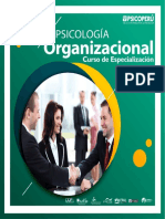 Organizacional PDF