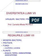 virusuri_bacterii_protiste.pdf