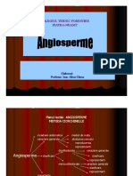 plante_cu_flori.priezientaciia_microsoft_powerpoint_compressed