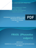 FRIJOL (Phaseolus Vulgaris)