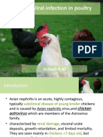 Nephritis Virus in Poultry