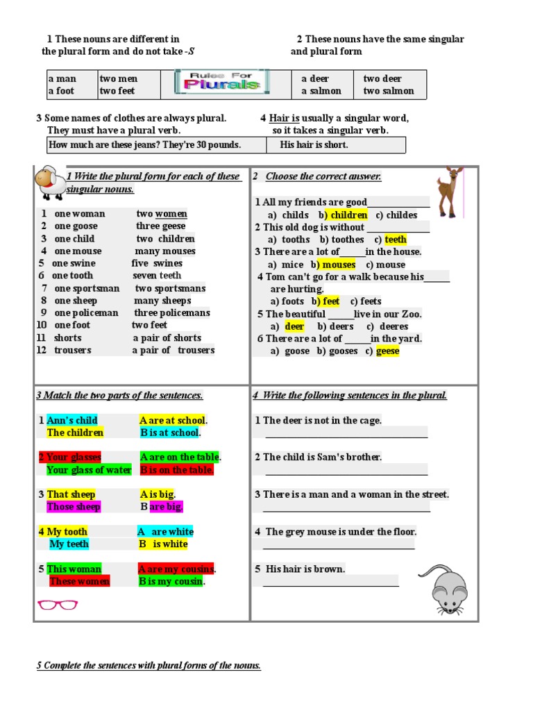 1 Write The Plural Form For Each of These Singular Nouns. 2 Choose The