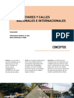 Bulevares o Calles Nacionales e Internacionales PDF