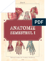 Anato An1 Sem1 PDF