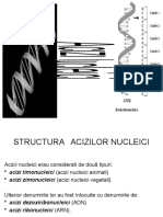 1 acizi nucleici