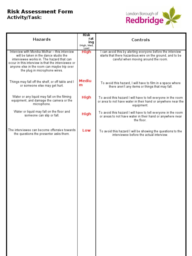 1 PAGE Risk Assessment Form | PDF