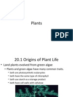 Plant Notes (Chs 20, 21, 22)