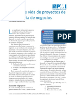 Ciclo Gestion Proyectos Consultoria Negocios.pdf