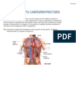 Aparato Cardiorrespiratorio PDF