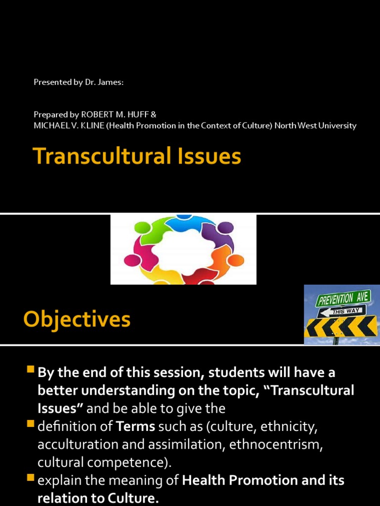 Understanding Transcultural Health Issues | PDF | Communication ...