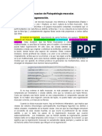 fisiopatologia muscular 2.docx