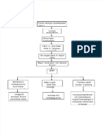 (PDF) Pathway Miopi