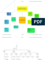 Mapa Conceptual y Organigrama - IVMA