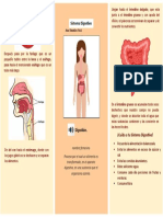 Triptico Informatica González Ana