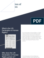 Un Declaration of Human Rights-7137135