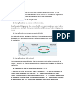 Replicación Del Adn