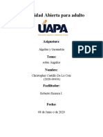 Unidad X Ejercicios Sobre Triángulos Rectángulos y Funciones Trigonométricas