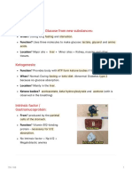 Gluconeogenesis - Glucose From New Substances:: Acids. Tissues