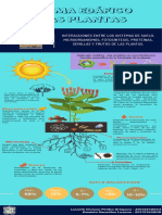 SISTEMA EDÁFICO (1).pdf