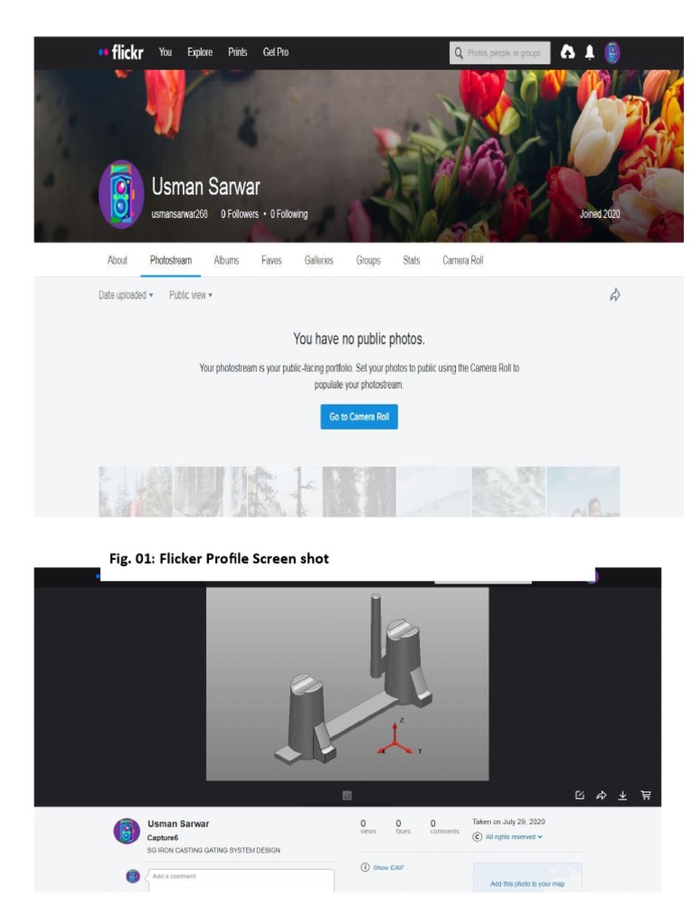 Flickr Profile Overview and Screenshot | PDF
