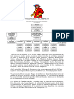 Organigrama Speis