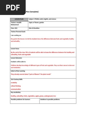 Lesson Plan 6