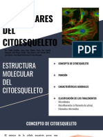 Bases Moleculares Del Citoesqueleto PDF