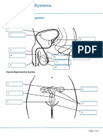 TLA on Reproductive System