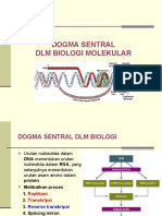 Dogma Central