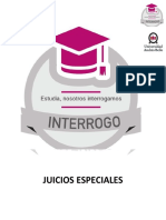 JUICIOS ESPECIALES.pdf