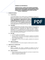 TDR Autorizacion de Ejecucion de Obra Ante Ana Pichos