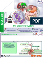 The Digestive System: 1 of 9 © Boardworks LTD 2015