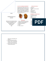 LEAFLET GLOMERULONEFRITIS