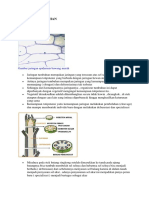 Materi Bio belajar dari rumah 6.pdf