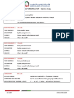 Opinion Essay Template