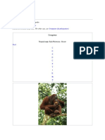 Orangutan: From Wikipedia, The Free Encyclopedia