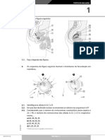 Teste Avaliacao Reproducao Humana PDF