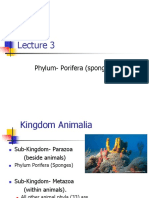 Lecture 3 - Sponges and Cnidaria PDF