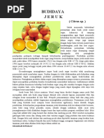 Download BUDIDAYA JERUK by Muhammad Afrizal SN48766068 doc pdf