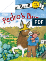 Pedro's Burro
