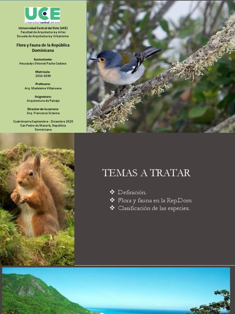 Flora y Fauna de La República Dominicana | PDF | Flora | República ...