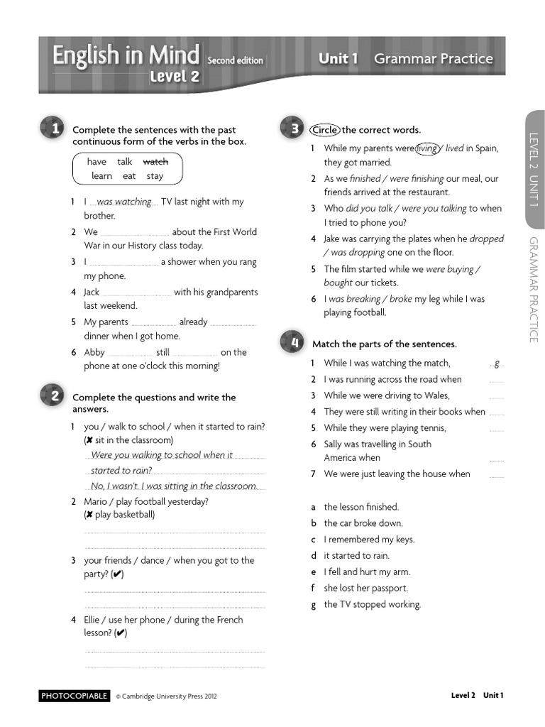 Level 2: Unit 1 Grammar Practice | PDF | Linguistics