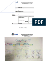 Haro - Liseth - Desarrollo Fetal PDF