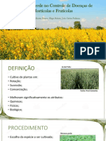 Adubação Verde no Controle de Doenças de Hortícolas e Frutícolas(2).pdf