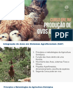 2 Aula Aves em SAF Karin Hanzi PDF