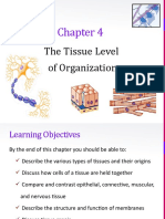 CH 4 - Tissue Level of Organization - SV Complete