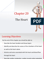 CH 20 - The Heart 2 - SV Complete