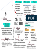 Sistema Disgestório