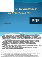 Plante Medicinale